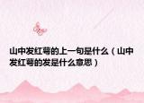 山中發(fā)紅萼的上一句是什么（山中發(fā)紅萼的發(fā)是什么意思）