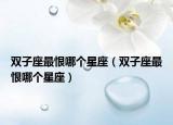 雙子座最恨哪個星座（雙子座最恨哪個星座）