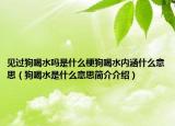 見過狗喝水嗎是什么梗狗喝水內涵什么意思（狗喝水是什么意思簡介介紹）