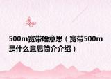 500m寬帶啥意思（寬帶500m是什么意思簡介介紹）