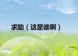 求助（這是誰?。? /></span></a>
                        <h2><a href=