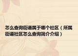 怎么查詢街道屬于哪個(gè)社區(qū)（所屬街道社區(qū)怎么查詢簡(jiǎn)介介紹）