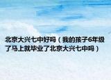 北京大興七中好嗎（我的孩子6年級(jí)了馬上就畢業(yè)了北京大興七中嗎）