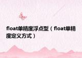float單精度浮點型（float單精度定義方式）