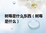 樹莓是什么東西（樹莓是什么）