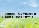 開軒面場圃下一句是什么古詩（開軒面場圃下一句詩是什么\