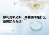 凈利潤(rùn)率又叫（凈利潤(rùn)率是什么意思簡(jiǎn)介介紹）