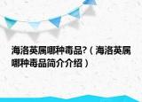 海洛英屬哪種毒品?（海洛英屬哪種毒品簡(jiǎn)介介紹）