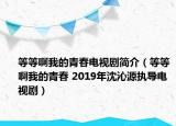 等等啊我的青春電視劇簡介（等等啊我的青春 2019年沈沁源執(zhí)導(dǎo)電視?。? /></span></a>
                        <h2><a href=