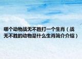 哪個(gè)動(dòng)物戰(zhàn)無(wú)不勝打一個(gè)生肖（戰(zhàn)無(wú)不勝的動(dòng)物是什么生肖簡(jiǎn)介介紹）