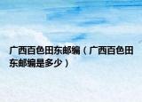 廣西百色田東郵編（廣西百色田東郵編是多少）