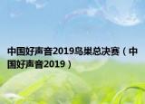 中國好聲音2019鳥巢總決賽（中國好聲音2019）