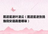 醫(yī)道官途葉凌云（醫(yī)道官途張揚(yáng)推倒安語(yǔ)晨是哪章）