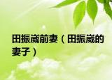 田振崴前妻（田振崴的妻子）