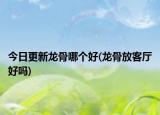 今日更新龍骨哪個(gè)好(龍骨放客廳好嗎)