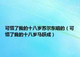 可惜了我的十八歲蘇爾東唱的（可惜了我的十八歲馬躍成）