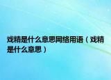 戲精是什么意思網(wǎng)絡(luò)用語（戲精是什么意思）