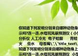 你知道下列發(fā)明分別來(lái)自哪種動(dòng)物身上的啟示嗎?連一連.水母耳風(fēng)暴預(yù)測(cè)儀（小型氣體分析儀 人工冷光  電子蛙眼      青蛙      螢火    蟲(chóng)水    母蒼蠅