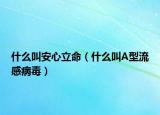 什么叫安心立命（什么叫A型流感病毒）