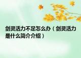 劍靈活力不足怎么辦（劍靈活力是什么簡(jiǎn)介介紹）