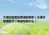 大漠沙如雪這首詩的意思（大漠沙如雪的下一句詩句是什么）