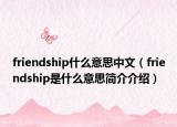 friendship什么意思中文（friendship是什么意思簡介介紹）