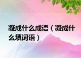 凝成什么成語（凝成什么填詞語）