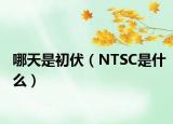 哪天是初伏（NTSC是什么）