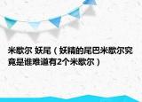米歇爾 妖尾（妖精的尾巴米歇爾究竟是誰難道有2個米歇爾）