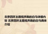 北京四環(huán)主路現(xiàn)奔跑的白馬詳細內(nèi)容 北京四環(huán)主路現(xiàn)奔跑的白馬具體介紹