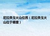 尼拉貢戈火山位置（尼拉貢戈火山位于哪里）