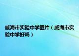 威海市實驗中學圖片（威海市實驗中學好嗎）