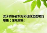 妻子的秘密東旭和佳緣里面吻戲哪集（床戲哪集）