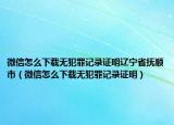 微信怎么下載無(wú)犯罪記錄證明遼寧省撫順市（微信怎么下載無(wú)犯罪記錄證明）