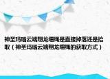 神圣瑪瑙云端翔龍韁繩是直接掉落還是拾?。ㄉ袷ガ旇г贫讼椠堩\繩的獲取方式）