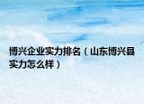 博興企業(yè)實力排名（山東博興縣實力怎么樣）