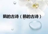 鵝的古詩(shī)（鵝的古詩(shī)）
