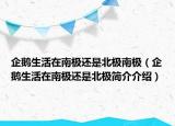 企鵝生活在南極還是北極南極（企鵝生活在南極還是北極簡(jiǎn)介介紹）