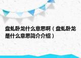 盤虬臥龍什么意思啊（盤虬臥龍是什么意思簡介介紹）