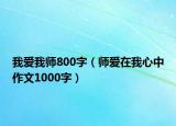 我愛我?guī)?00字（師愛在我心中作文1000字）