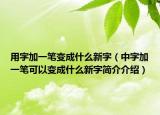 用字加一筆變成什么新字（中字加一筆可以變成什么新字簡介介紹）