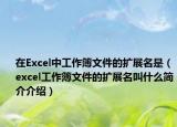 在Excel中工作簿文件的擴(kuò)展名是（excel工作簿文件的擴(kuò)展名叫什么簡介介紹）