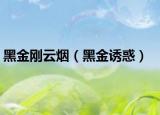黑金剛云煙（黑金誘惑）