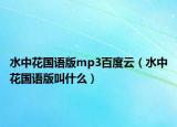 水中花國語版mp3百度云（水中花國語版叫什么）