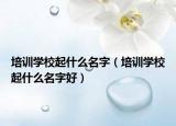 培訓(xùn)學(xué)校起什么名字（培訓(xùn)學(xué)校起什么名字好）