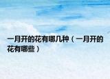 一月開的花有哪幾種（一月開的花有哪些）