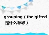 grouping（the gifted 是什么意思）