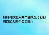 釘釘可以加入兩個(gè)團(tuán)隊(duì)么（釘釘可以加入兩個(gè)公司嗎）