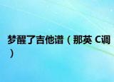夢醒了吉他譜（那英 C調(diào)）