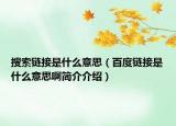 搜索鏈接是什么意思（百度鏈接是什么意思啊簡(jiǎn)介介紹）